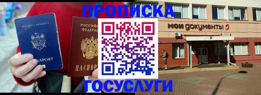 прописка в Зверево